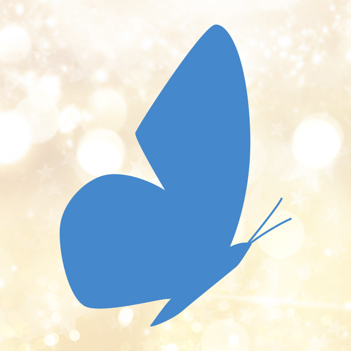 The butterfly from the Creative Ark logo